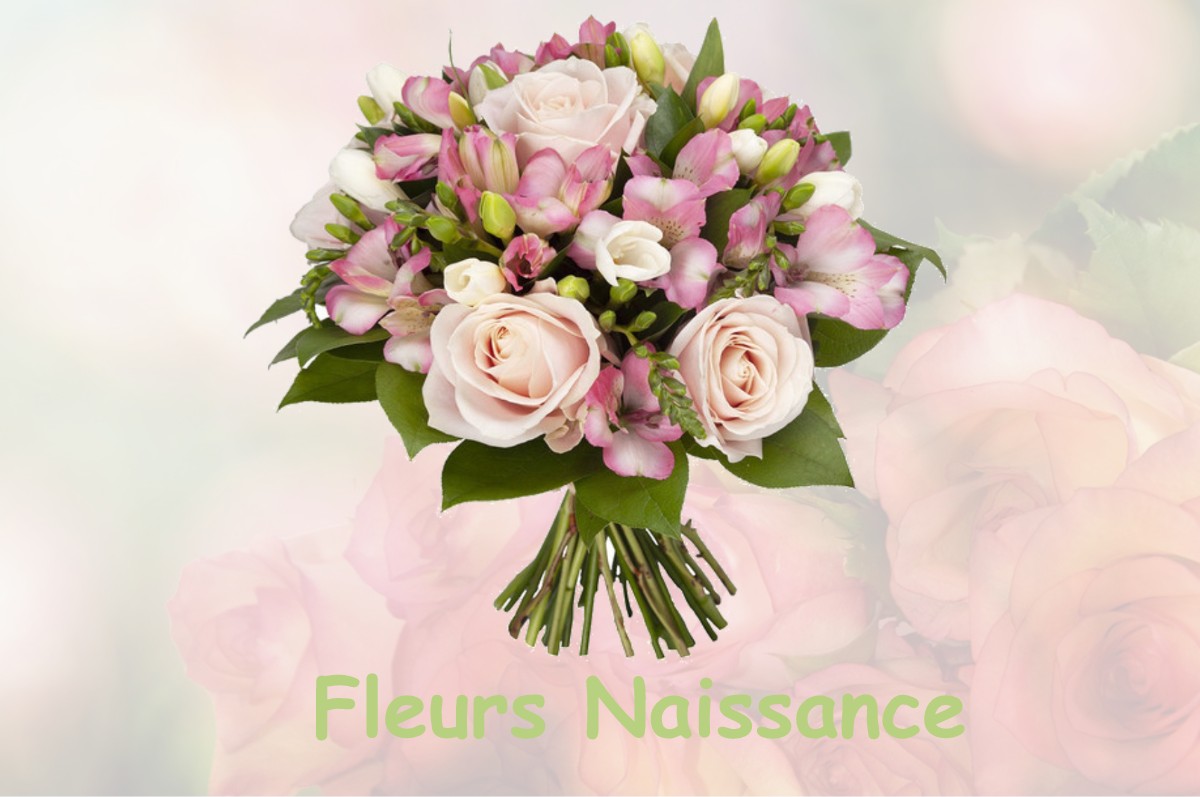 fleurs naissance SAINT-HILAIRE-DE-CLISSON