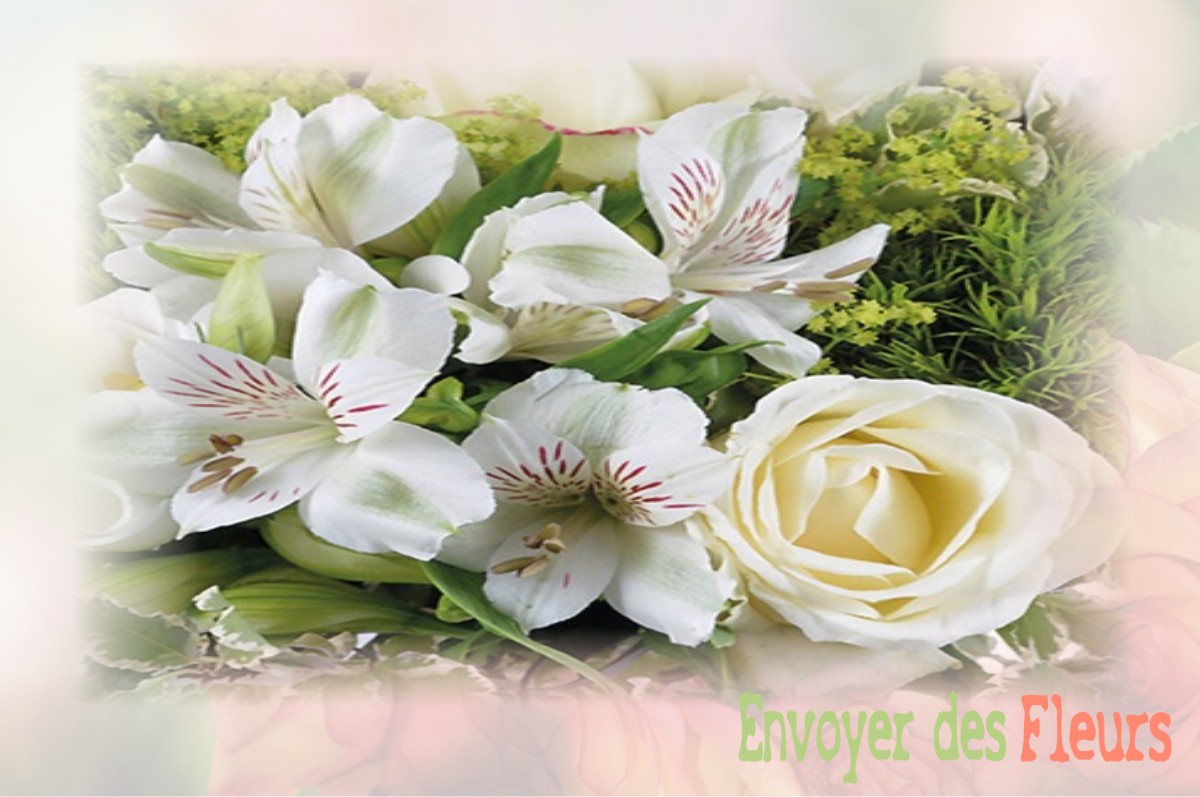 envoyer des fleurs à à SAINT-HILAIRE-DE-CLISSON